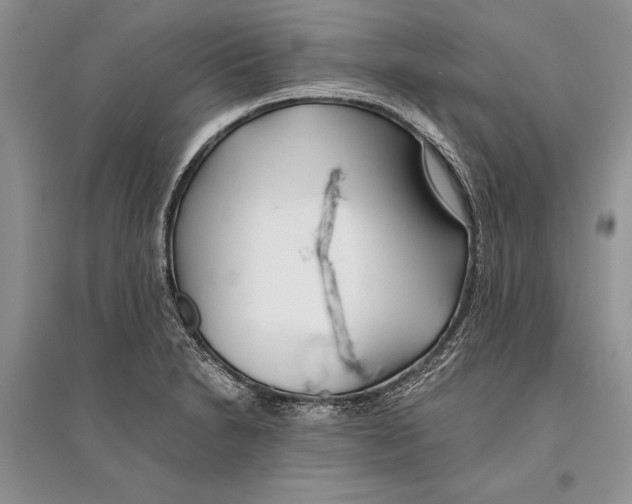 X0000096201230200802151518