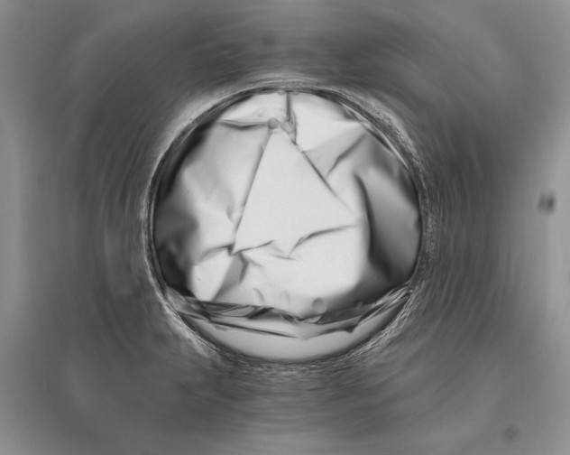 X0000096201231200802151518