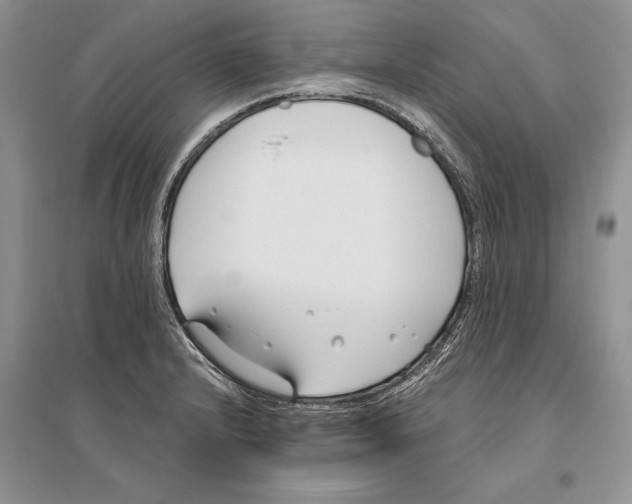 X0000096201232200802151518