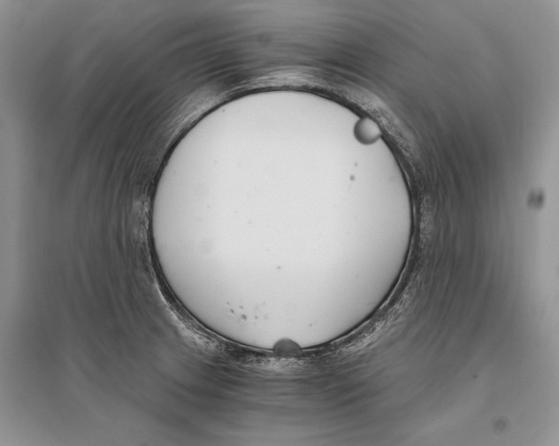 X0000096201233200802151518