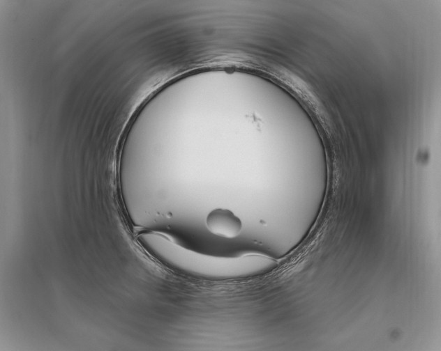 X0000096201234200802151518