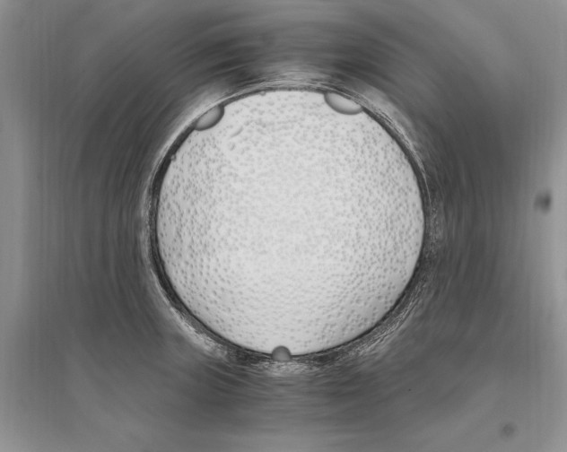 X0000096201235200802151518