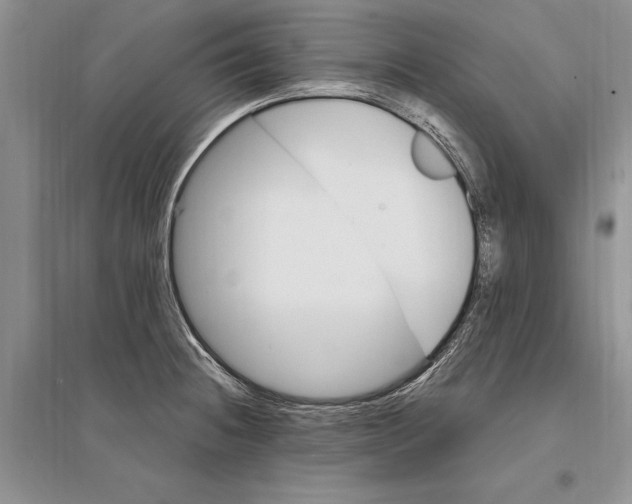 X0000096201236200802151518