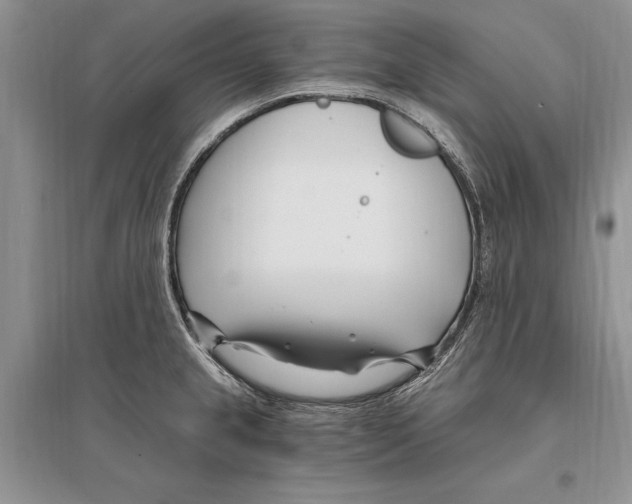 X0000096201237200802151518