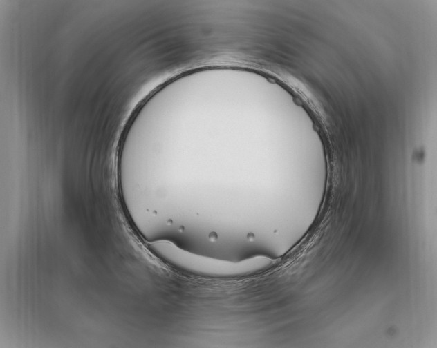 X0000096201238200802151518