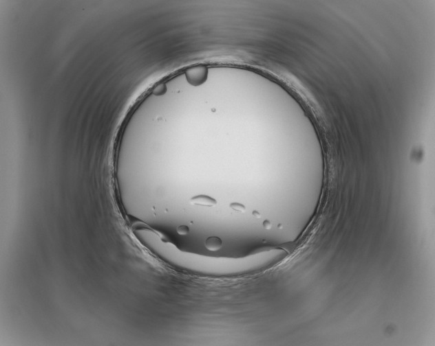 X0000096201240200802151518