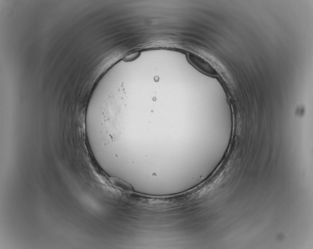 X0000096201241200802151518