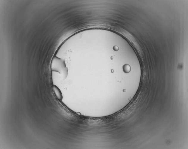 X0000096201242200802151518