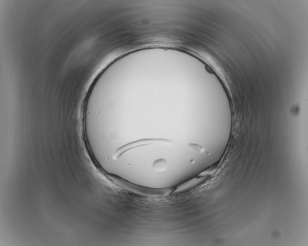 X0000096201243200802151518