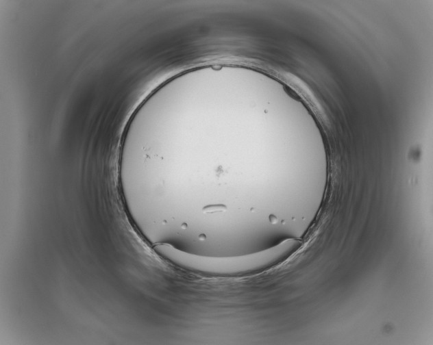 X0000096201244200802151518