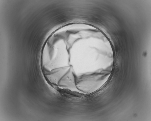 X0000096201245200802151518