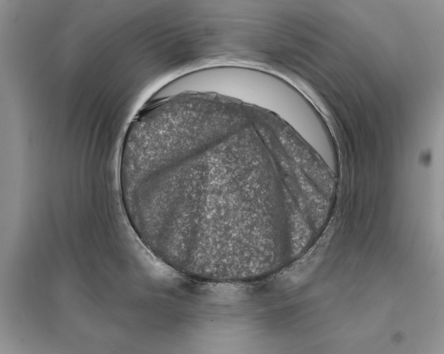 X0000096201246200802151518