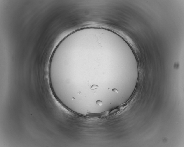 X0000096201247200802151518