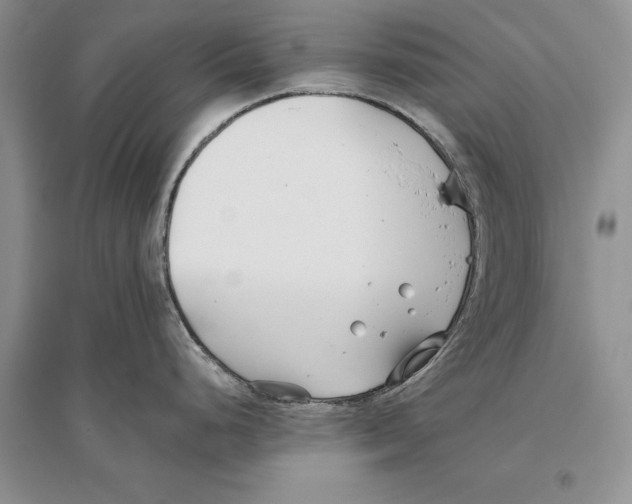 X0000096201248200802151518