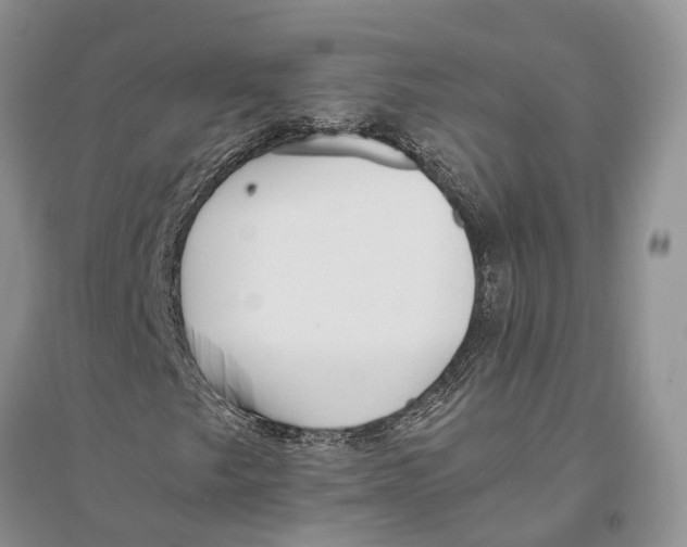 X0000096201249200802151518