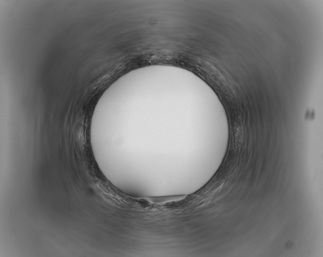 X0000096201250200802151518