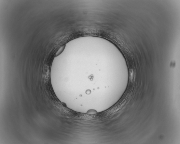 X0000096201251200802151518