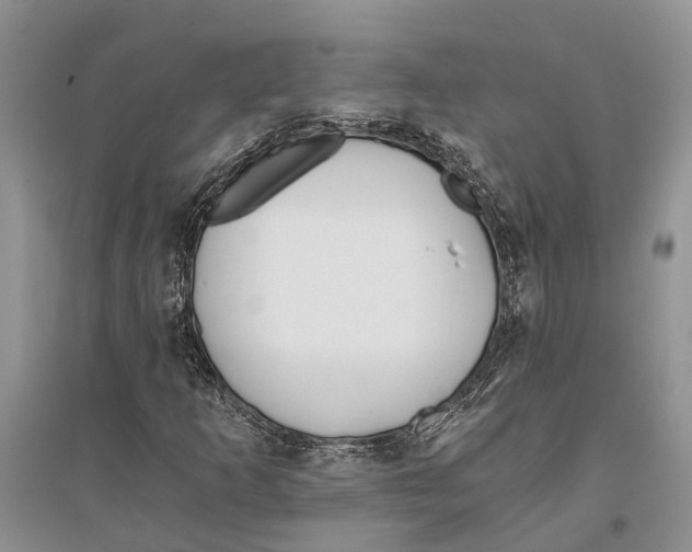 X0000096201253200802151518