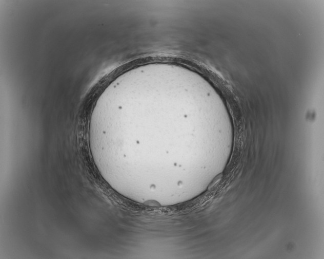 X0000096201255200802151518