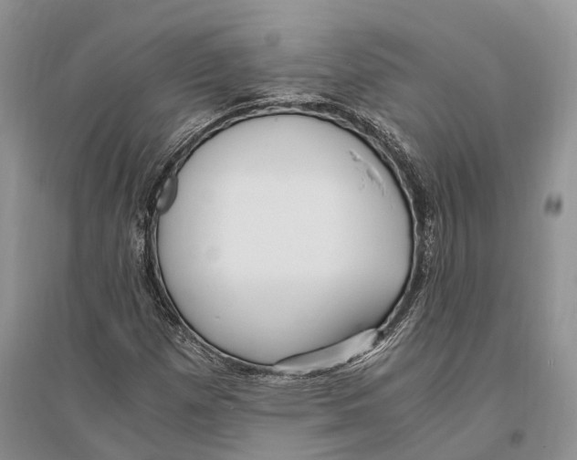 X0000096201257200802151517