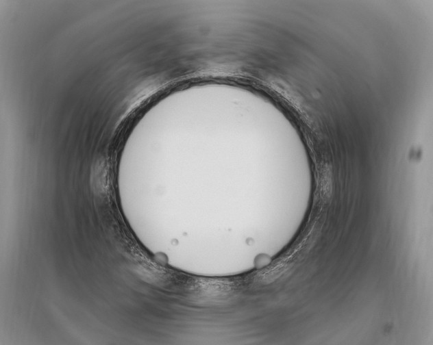 X0000096201258200802151517