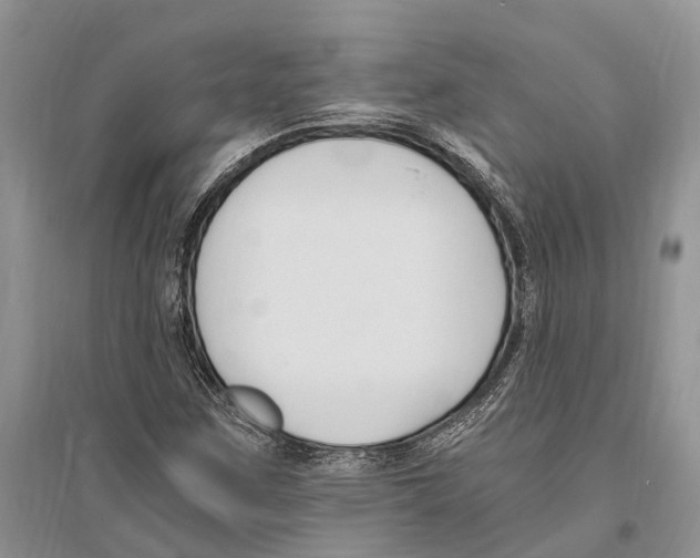 X0000096201259200802151517