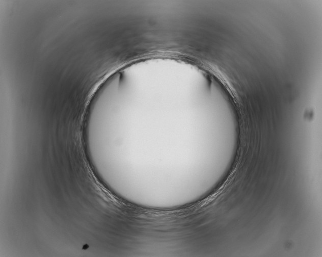 X0000096201260200802151517