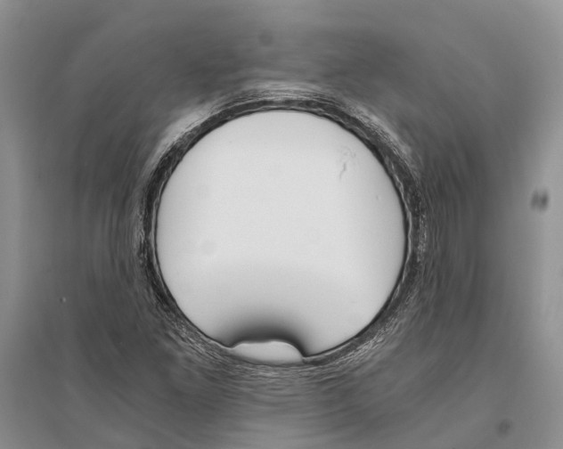 X0000096201261200802151517