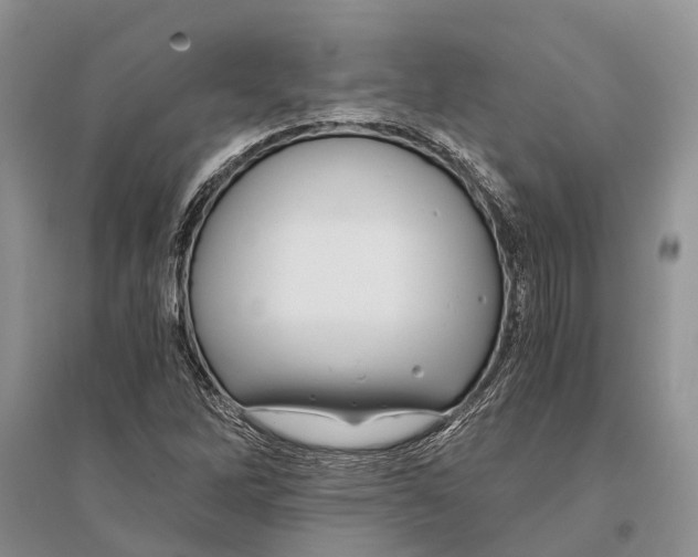 X0000096201262200802151517