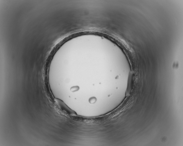 X0000096201264200802151517