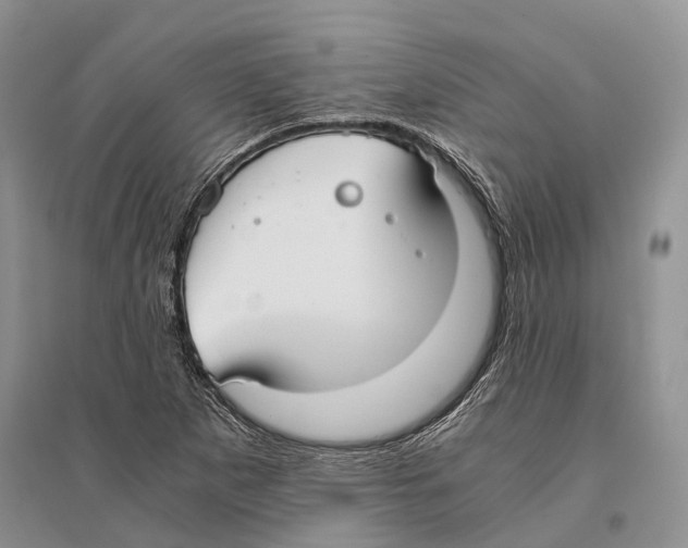 X0000096201265200802151517