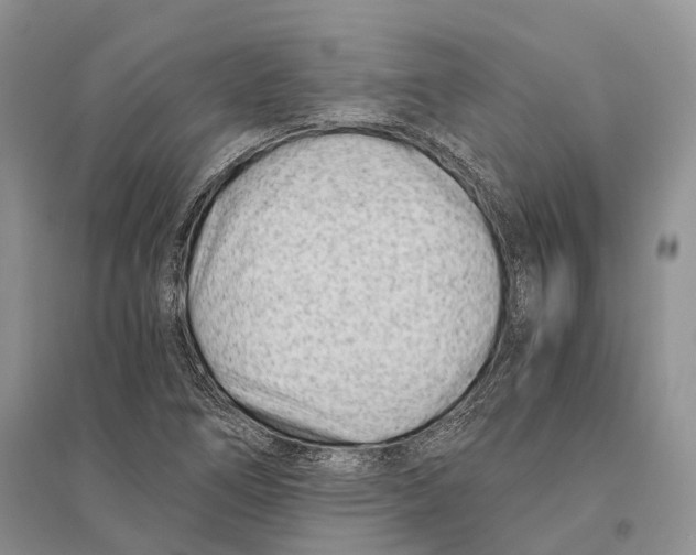 X0000096201266200802151517