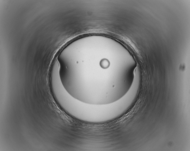 X0000096201268200802151517