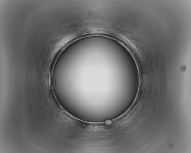 X0000096201269200802151517