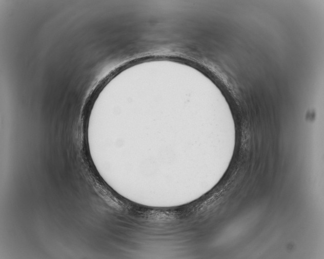 X0000096201270200802151517