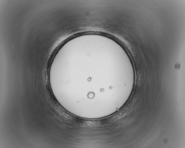 X0000096201271200802151517