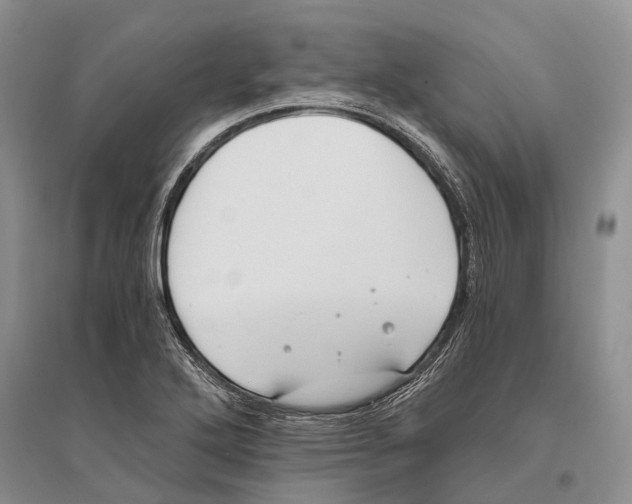 X0000096201272200802151517