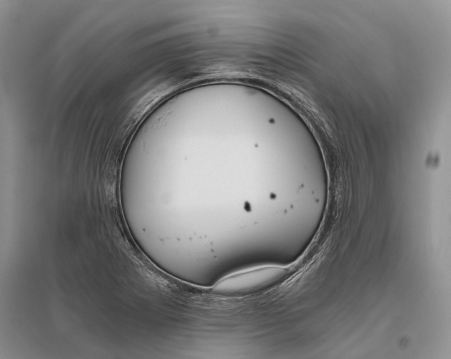 X0000096201273200802151517