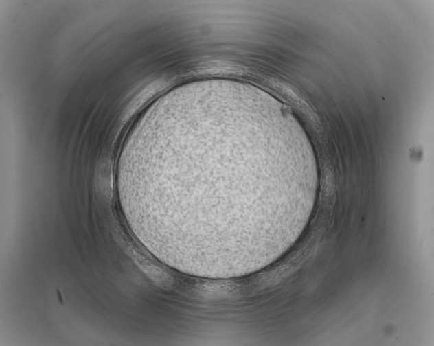 X0000096201274200802151517