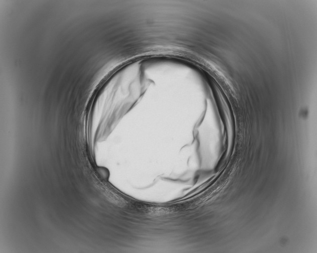 X0000096201275200802151517