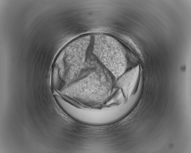 X0000096201276200802151517