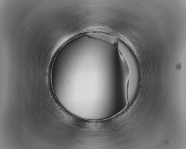 X0000096201277200802151517