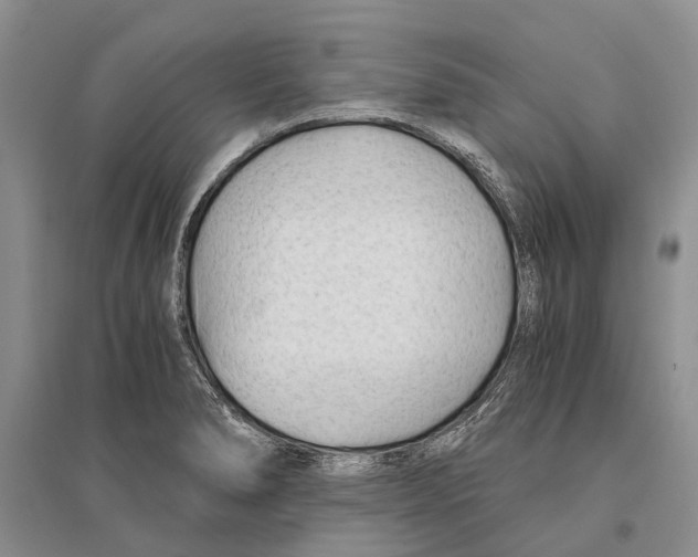 X0000096201278200802151517