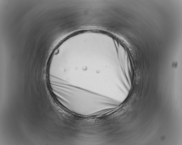 X0000096201279200802151517