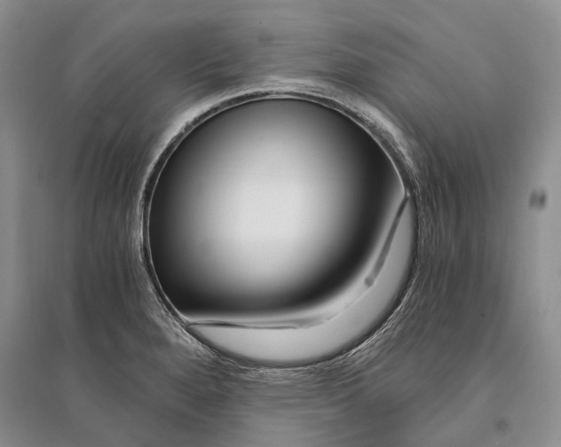 X0000096201280200802151517