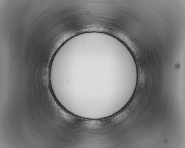 X0000096201282200802151517