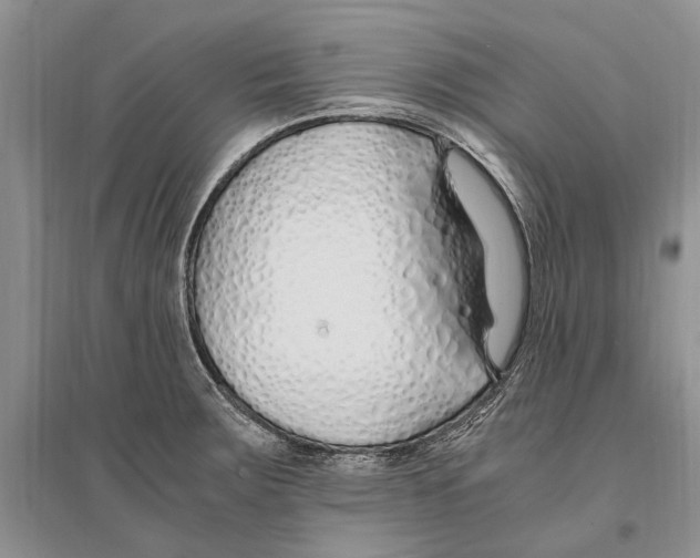 X0000096201283200802151517