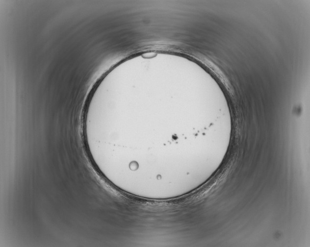 X0000096201285200802151517