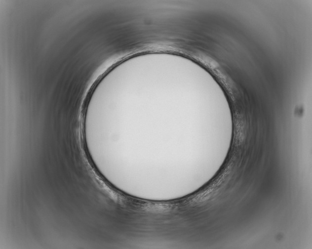 X0000096201286200802151517