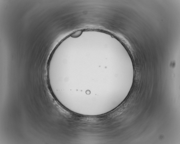 X0000096201287200802151517